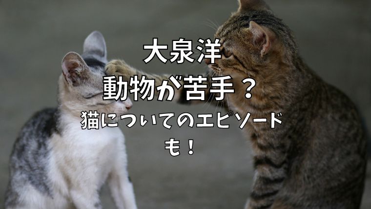 大泉洋は動物が苦手？特に猫が弱点で仕事に影響したことも！